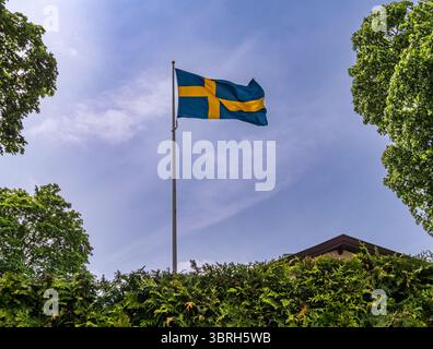 Sodertalje, Suède - 6 juin 2025 : drapeau suédois agitant contre un ciel bleu clair, entouré d'arbres verdoyants et de feuillages. Banque D'Images