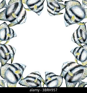 Cadre carré avec des poissons tropicaux rayés noir et blanc vivant sur les récifs coralliens. Modèle d'illustration d'aquarelle dans des couleurs neutres sur fond blanc Banque D'Images