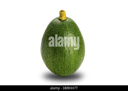 Avocat frais vert simple avec tige isolé sur fond blanc avec chemin de découpage Banque D'Images