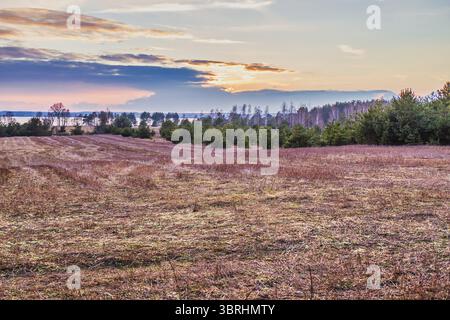 Paysage du début du printemps avec coucher de soleil sur le lac Banque D'Images