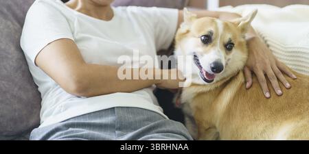 Femme jouant avec son chien à la maison beau corgi sur le canapé dans le salon Banque D'Images