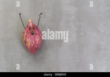 Grand concept de manger sain, patate douce sur fond gris, béton poli Banque D'Images