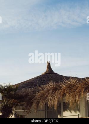 Straw Beach Hut Roof avec cône central contre ciel bleu – image minimale verticale avec espace de copie Banque D'Images