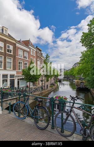 Scène de canal dynamique à Leyde, pays-Bas, avec des maisons historiques, de charmants ponts avec des jardinières et des vélos hollandais classiques. Parfait pour tra Banque D'Images