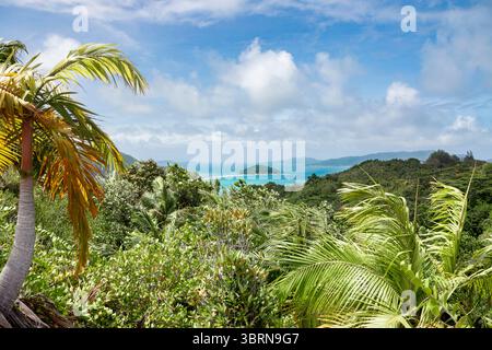 Une vue panoramique depuis le sommet de fond Ferdinand montre une forêt verdoyante et des collines lointaines sous un ciel lumineux aux Seychelles. Banque D'Images