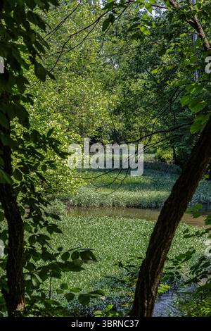 Photo de Big Walnut Creek à Gahanna Ohio pendant l'été près de Creekside Park et Arboretum Banque D'Images