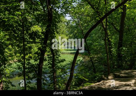 Photo de Big Walnut Creek à Gahanna Ohio pendant l'été près de Creekside Park et Arboretum Banque D'Images