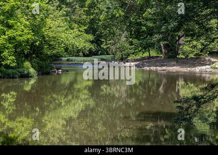 Photo de Big Walnut Creek à Gahanna Ohio pendant l'été près de Creekside Park et Arboretum Banque D'Images