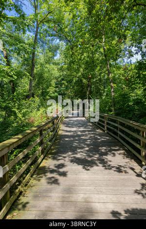 Photo de la promenade près de Big Walnut Creek à Gahanna Ohio pendant l'été près de Creekside Park et Arboretum qui sont des pollinisateurs Banque D'Images