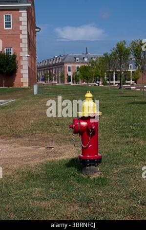 Bouche d'incendie rouge avec chapeau jaune sur une pelouse herbeuse Banque D'Images