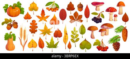 Feuilles d'automne de dessin animé, champignons, baies et citrouilles, vecteur saison d'automne, Thanksgiving et Halloween. Feuilles d'automne de dessin animé d'érables, de chênes et de châtaigniers, de glands, de cônes, de fruits de rowan et de viburnum Illustration de Vecteur