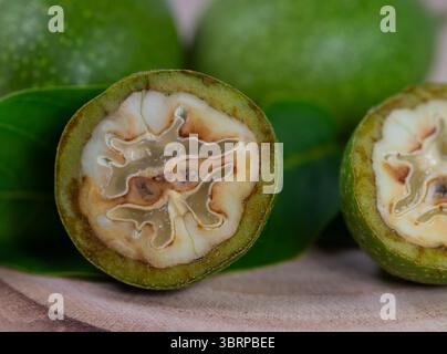 Gros plan de noix vertes non mûres Banque D'Images