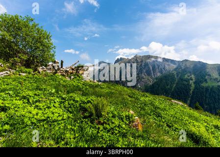 Cabane alpine abandonnée et semi-détruite parmi les prairies de pâturage et les sommets de granit du Lagorai à trente en Italie Banque D'Images
