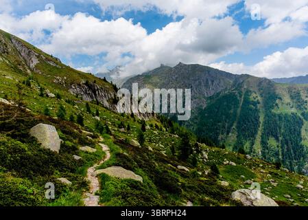 Cabane alpine abandonnée et semi-détruite parmi les prairies de pâturage et les sommets de granit du Lagorai à trente en Italie Banque D'Images