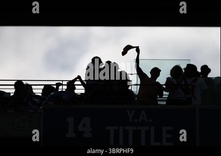 New Jersey, États-Unis. 13 juillet 2025. Les spectateurs réagissent lors du match final entre le Chelsea FC (Angleterre) et le Paris Saint-Germain (France) lors de la Coupe du monde des clubs FIFA 2025 au MetLife Stadium, New Jersey, États-Unis, le 13 juillet 2025. Crédit : Li Ming/Xinhua/Alamy Live News Banque D'Images