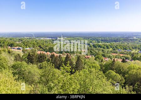 Vue sur le paysage au sommet des arbres avec des arbres verdoyants Banque D'Images