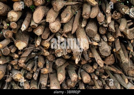 Gros plan d'un tas de bois de chauffage et de morceaux de bois séché Banque D'Images