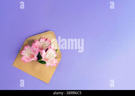 Fleurs d'alstroemeria roses dans une enveloppe kraft sur fond violet. Concept de vacances. Vue de dessus, pose à plat, espace de copie. Banque D'Images