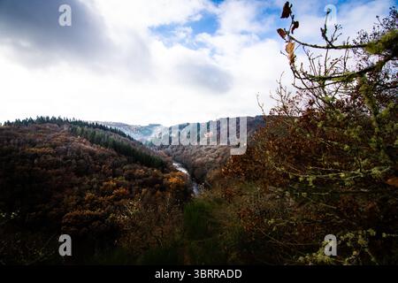 Un grand angle, vue surélevée met en valeur une rivière sinueuse sculptant son chemin à travers une vallée densément boisée ornée de feuillage d'automne. Banque D'Images