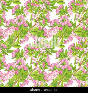 Fleur rose. Modèle sans couture avec fleur de printemps florissante. Abricot, cerise, poire, amande, pomme, pêche. Fleurs, feuilles et bourgeons à l'aquarelle dessinés à la main Banque D'Images