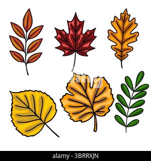 Collection de six feuilles d'automne illustration vectorielle : feuilles d'érable, de chêne, de frêne et de bouleau dans des couleurs d'automne vibrantes, parfaites pour les conceptions saisonnières. Illustration de Vecteur
