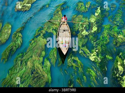 Vue aérienne d'un bateau solitaire glisse à travers les eaux cristallines, au milieu de plantes aquatiques verdoyantes, créant un contraste serein, Sirajganj, Rajshahi Division, Bangladesh. Banque D'Images