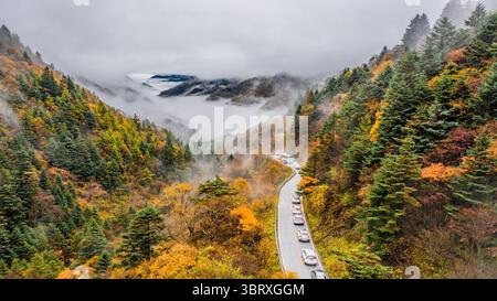 5 octobre 2020, Shennongjia, Hubei, Chine : la beauté de la forêt de Shennongjia en automne à Shennongjia, Hubei, Chine le 05 octobre 2020. (Crédit image : © TPG via ZUMA Press) Banque D'Images