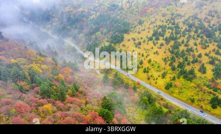 5 octobre 2020, Shennongjia, Hubei, Chine : la beauté de la forêt de Shennongjia en automne à Shennongjia, Hubei, Chine le 05 octobre 2020. (Crédit image : © TPG via ZUMA Press) Banque D'Images