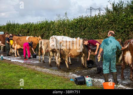 Stithians, Cornouailles, Royaume-Uni. 14 juillet 2025. Le spectacle Stithians a eu lieu aujourd'hui malgré de fortes averses de pluie. Cornwall plus grand salon agricole d'un jour, offre un goût traditionnel de la vie rurale. Stithians Show avait quelque chose pour tout le monde ; expositions et démonstrations, animaux, foire, véhicules anciens, nourriture et artisanat et un grand choix de shopping dans les stands commerciaux et les producteurs locaux. Crédit : Keith Larby/Alamy Live News Banque D'Images