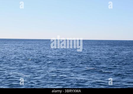 Un paysage marin calme de la mer Adriatique pris à Dubrovnik, Croatie Banque D'Images