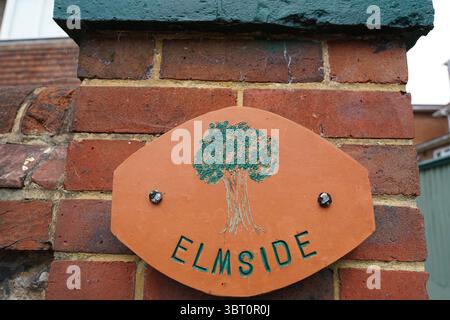 Panneau en bois avec motif Green Tree fixé à un mur de briques Banque D'Images