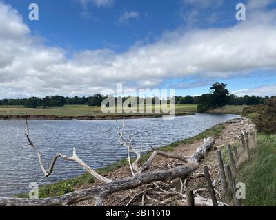 Vues côtières où la rivière Tyne se jette dans la mer du Nord à East Lothian, avec estuaire, plage, eau, ciel, et paysage ouvert capturé en été li Banque D'Images