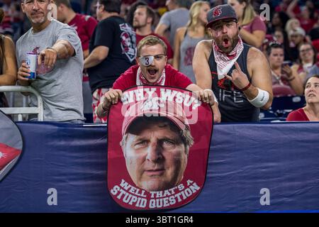 13 septembre 2019 : les fans des Cougars de l'État de Washington pendant le 4e quart-temps d'un match de football NCAA entre les Cougars de l'État de Washington et les Cougars de Houston au NRG Stadium de Houston, Texas. Washington State a gagné 31 à 24...Trask Smith/CSM(image de crédit : &copy ; Trask Smith/CSM via ZUMA Wire) Banque D'Images