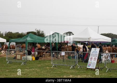 Stithians, Cornouailles, Royaume-Uni. 14 juillet 2025. Le spectacle Stithians a eu lieu aujourd'hui malgré de fortes averses de pluie. Cornwall plus grand salon agricole d'un jour, offre un goût traditionnel de la vie rurale. Stithians Show avait quelque chose pour tout le monde ; expositions et démonstrations, animaux, foire, véhicules anciens, nourriture et artisanat et un grand choix de shopping dans les stands commerciaux et les producteurs locaux. Crédit : Keith Larby/Alamy Live News Banque D'Images
