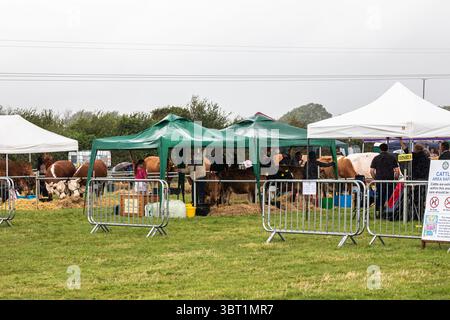 Stithians, Cornouailles, Royaume-Uni. 14 juillet 2025. Le spectacle Stithians a eu lieu aujourd'hui malgré de fortes averses de pluie. Cornwall plus grand salon agricole d'un jour, offre un goût traditionnel de la vie rurale. Stithians Show avait quelque chose pour tout le monde ; expositions et démonstrations, animaux, foire, véhicules anciens, nourriture et artisanat et un grand choix de shopping dans les stands commerciaux et les producteurs locaux. Crédit : Keith Larby/Alamy Live News Banque D'Images