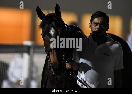 16 septembre 2019, Dubaï, AE : Godolphin's Kinver Edge, à 500 000 dirhams (136 103 $) le cheval le plus cher vendu lors de la vente Racing in Dubaï à l'hippodrome de Meydan quitte le cercle des ventes aux enchères, Émirats arabes Unis, le 16 septembre 2019. Quelque 64 chevaux qui sont passés sous le marteau ont ramassé jusqu'à 4,28 millions de dirhams. (Crédit image : © Martin Dokoupil/ZUMA Wire) Banque D'Images