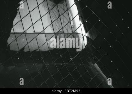 Fond architectural monochrome minimaliste avec murs de verre et structure Banque D'Images