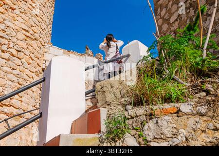 Une femme prend une photo en gros plan d'un macaque barbaresque assis sur un mur au château mauresque médiéval sur le rocher de Gibraltar, au Royaume-Uni. Banque D'Images
