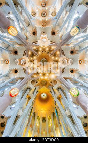 Une vue imprenable sur le plafond complexe de la Sagrada Família à Barcelone, mettant en valeur le design visionnaire de Gaudí et la géométrie rayonnante de la cathédrale Banque D'Images