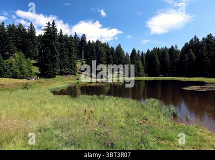 Hier der Blick auf dem Vigiljoch, hoch über Lana nahe der Kurstadt Meran auf die schwarze Lacke, See, Biotop neben dem Gasthaus Seespitz, Meraner Land, Burggrafenamt, Südtirol, Alto Adige, Wandern, spazieren, Ausblick, Tourismus *** Voici la vue depuis le Vigiljoch, au-dessus de Lana près de la ville thermale de Merano/Meran, du Schwarze Lacke, lac, biotope à côté de l'auberge Seespitz, région de Merano/Meran, Burggrafenamt, Tyrol du Sud, Haut Adige, randonnée, marche, vue, tourisme Banque D'Images