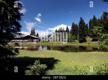 Hier der Blick auf dem Vigiljoch, hoch über Lana nahe der Kurstadt Meran auf die schwarze Lacke, See, Biotop und dem Gasthaus Seespitz, Meraner Land, Burggrafenamt, Südtirol, Alto Adige, Wandern, spazieren, Ausblick, Tourismus *** Voici la vue depuis le Vigiljoch, au-dessus de Lana près de la ville thermale de Merano/Meran, du Schwarze Lacke, lac, biotope et Seespitz inn, région de Merano/Meran, Burggrafenamt, Tyrol du Sud, Haut Adige, randonnée, marche, vue, tourisme Banque D'Images