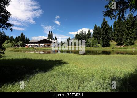 Hier der Blick auf dem Vigiljoch, hoch über Lana nahe der Kurstadt Meran auf die schwarze Lacke, See, Biotop und dem Gasthaus Seespitz, Meraner Land, Burggrafenamt, Südtirol, Alto Adige, Wandern, spazieren, Ausblick, Tourismus *** Voici la vue depuis le Vigiljoch, au-dessus de Lana près de la ville thermale de Merano/Meran, du Schwarze Lacke, lac, biotope et Seespitz inn, région de Merano/Meran, Burggrafenamt, Tyrol du Sud, Haut Adige, randonnée, marche, vue, tourisme Banque D'Images