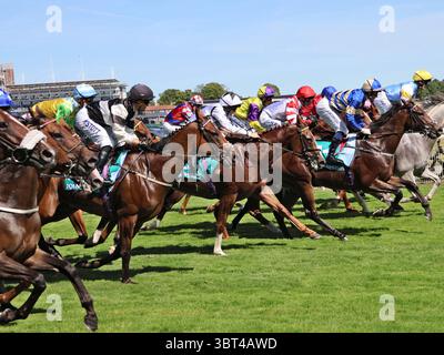 John Smith's Cup handicap (Heritage handicap) 15 :10 12 juillet 2025 York Banque D'Images