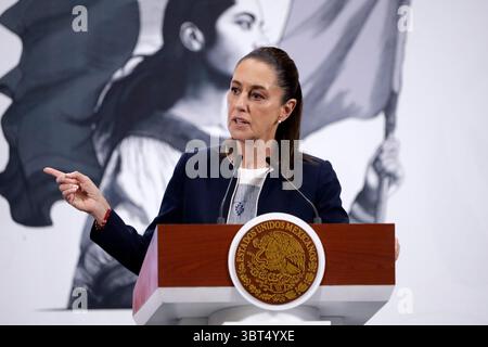 Mexico, Mexique. 14 juillet 2025. Le président mexicain Claudia Sheinbaum Pardo a déclaré que les déclarations faites par l'avocat de la défense d'Ovidio Guzman étaient irrespectueuses et qu'ils le poursuivraient pour diffamation lors d'une conférence d'information au Palais National. Le 14 juillet 2025 à Mexico, Mexique. (Photo de Luis Barron/Eyepix Group/Sipa USA) crédit : Sipa USA/Alamy Live News Banque D'Images