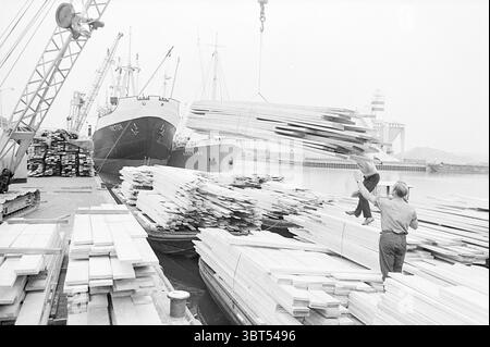 Port Beverwijk ports, Whizgle News, Dutch Desk, pays-Bas, 1950 - 2000 le 31-07-1968. L'image montre ces rubriques. La scène représente un chantier naval animé rempli d'activité et de chaos structuré. Les grands cargos dominent l'arrière-plan, leurs coques peintes dans des couleurs sombres qui contrastent avec les tons plus clairs autour d'eux. Les grues se tissent au-dessus de la tête, leurs bras mécaniques s'étendant vers des piles de bois qui sont méticuleusement disposées près du bord de l'eau. Les travailleurs sont engagés dans le processus de déchargement de planches de bois, leurs corps dans des poses dynamiques comme ils manœuvrent les matériaux lourds. Un Banque D'Images