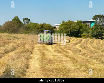 Pontypridd, pays de Galles, Royaume-Uni - 12 juillet 2025 : tracteur remorquant une machine de pressage pour fabriquer de grandes balles rondes à partir d'herbe séchée dans un champ agricole. Banque D'Images