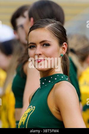 Septembre 28 2019 : Baylor Bears pom-meneurs avant la première moitié du match de football NCAA entre les cyclones de l'État de l'Iowa et les Baylor Bears au McLane Stadium à Waco, Texas. Matthew Lynch/CSM(image de crédit : &copy ; Matthew Lynch/CSM via ZUMA Wire) Banque D'Images