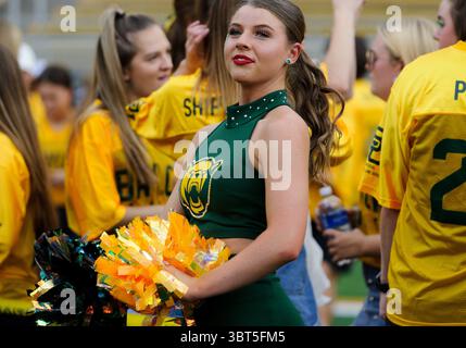 Septembre 28 2019 : Baylor Bears pom-meneurs avant la première moitié du match de football NCAA entre les cyclones de l'État de l'Iowa et les Baylor Bears au McLane Stadium à Waco, Texas. Matthew Lynch/CSM(image de crédit : &copy ; Matthew Lynch/CSM via ZUMA Wire) Banque D'Images