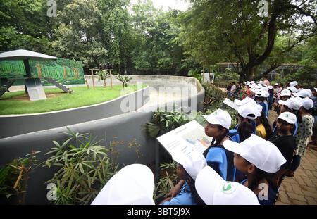 Patna, Inde. 14 juillet 2025. PATNA, INDE - 14 JUILLET : des élèves regardent les chimpanzés à l'occasion de la Journée mondiale des chimpanzés à Sanjay Gandhi Jaivik Udyan le 14 juillet 2025 à Patna, Inde. (Photo de Santosh Kumar/Hindustan Times/Sipa USA) crédit : Sipa USA/Alamy Live News Banque D'Images