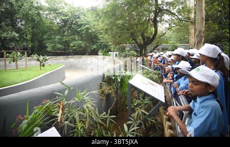 Patna, Inde. 14 juillet 2025. PATNA, INDE - 14 JUILLET : des élèves regardent les chimpanzés à l'occasion de la Journée mondiale des chimpanzés à Sanjay Gandhi Jaivik Udyan le 14 juillet 2025 à Patna, Inde. (Photo de Santosh Kumar/Hindustan Times/Sipa USA) crédit : Sipa USA/Alamy Live News Banque D'Images